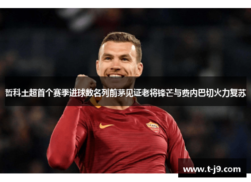 哲科土超首个赛季进球数名列前茅见证老将锋芒与费内巴切火力复苏